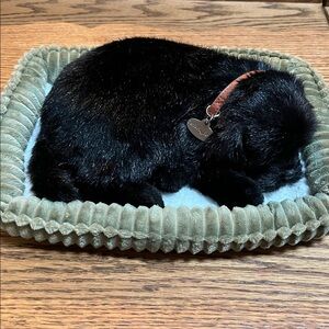 Perfect Petzzz Black Lab Puppy